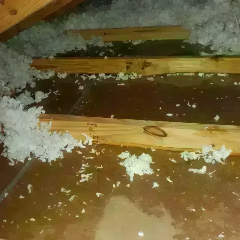 Attic Water Damage in Great Falls, MT